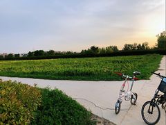 -汉长安城未央宫国家考古遗址公园