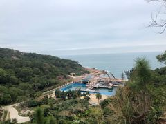 -广东惠东海龟国家级自然保护区