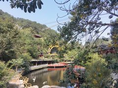 -龙门水都景区