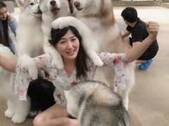 -TrueLove @ Neverland (Husky Cafe)