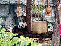 -泉州海丝野生动物世界