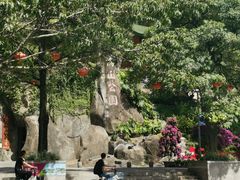 -鸿山公园