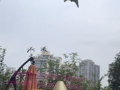 -煲宫猪肚鸡(晶品店)