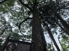 -丹山赤水风景名胜区