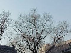 -文瀛公园