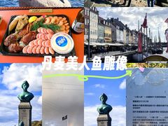 -美人鱼