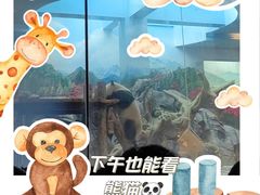 -武汉动物园