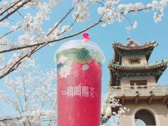 -鸡鸣赐茶(鸡鸣寺路店)