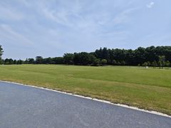 -宜兴龙背山森林公园