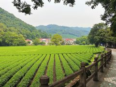 -自在弥林花园餐厅(云栖店)