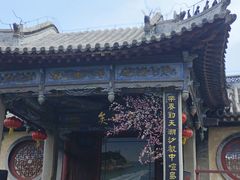 -蓬莱阁景区