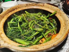 虾酱啫通心菜-煲煲好(朝阳门店)