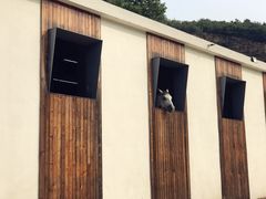 -枫露马术学院(藏书校区)