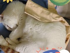 -褒河栈道渔庄(建工路总店)