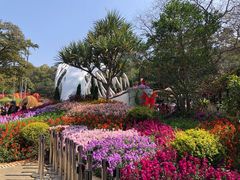 -广州市白云山风景名胜区
