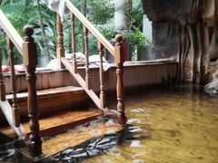 -龙达温泉生态城
