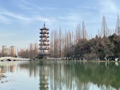 -桃花岛公园
