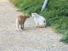 -中国农业博物馆