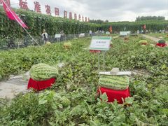 -长春农博园
