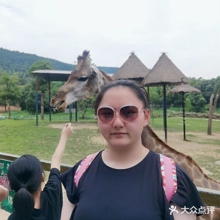 长假来龙之梦动物世界吧[加油]