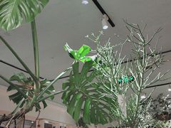 -懒人盐府人家(安贞店)