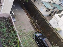 -老洋房花园饭店(绍兴路店)