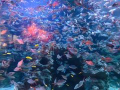 -成都浩海立方海洋公园