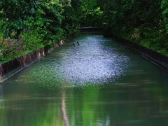 -上海滨江森林公园