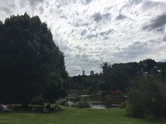 -墨尔本皇家植物园