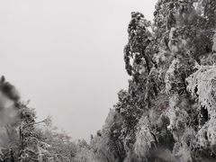 -龙苍沟森林公园