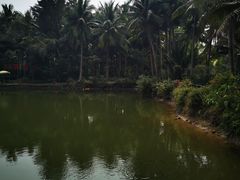 -中国（海南）南海博物馆