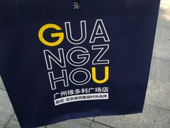 -VT101维多利广场