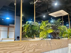 -凤兴鸡煲(宝安海雅店)