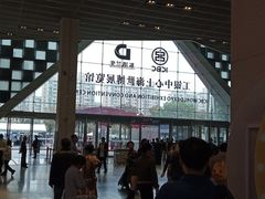 -东浩兰生上海世博展览馆