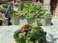 -寂照庵