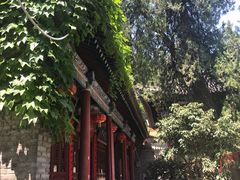-兴教寺