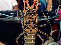 -D'Talipapa
