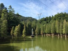 -广州市帽峰山景区