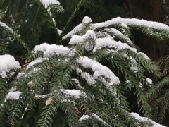 -西岭雪山大飞水景区