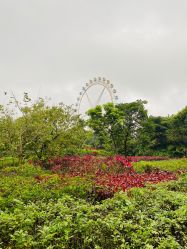 -白沙门公园游乐场