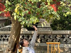 -泰山风景名胜区-普照寺