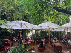 -Fern Forest Cafe