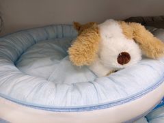 -NITORI 宜得利家居(上海中山公园龙之梦店)