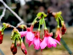 -桃花涧