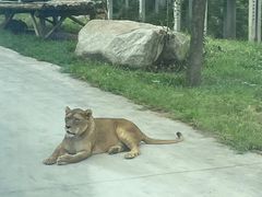 -西安秦岭野生动物园