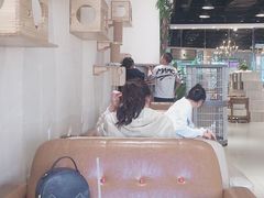 大堂-藏猫猫咖啡主题馆(中央大道店)