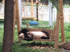 -西安秦岭野生动物园