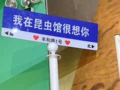 -上海大自然野生昆虫馆(东方明珠·爬宠昆虫探索中心)