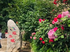 -云丘山景区