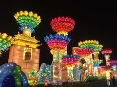 -欢乐海岸椰林沙滩-2025湾区超级灯会
